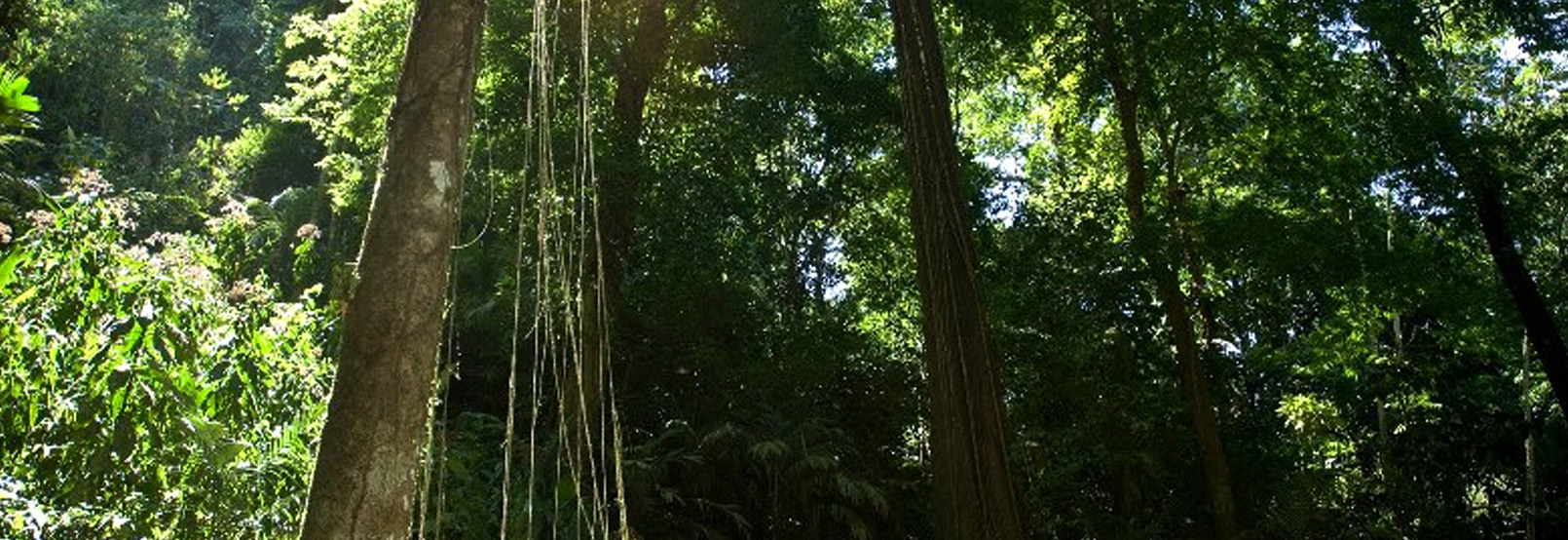 maravillas naturales oaxaca